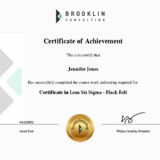 Certificate in Lean Six Sigma Black Belt
