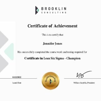 Certificate in Lean Six Sigma Champion