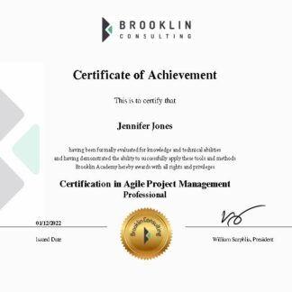 Certification in Agile Project Management - Professional