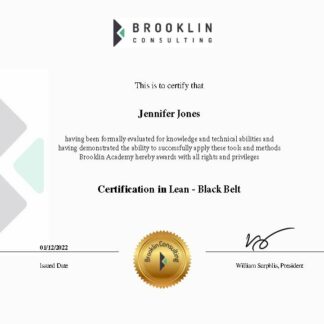 Certification in Lean Black Belt